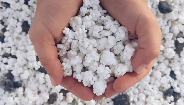 شاطئ الفشار شاطئ الفشار