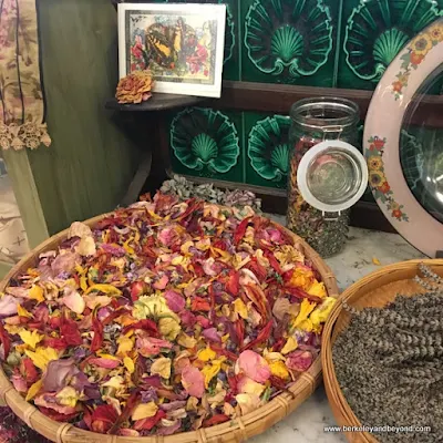 display at Antiquarian and Florabunda Fine Flowers in shops complex in Duncans Mills, California