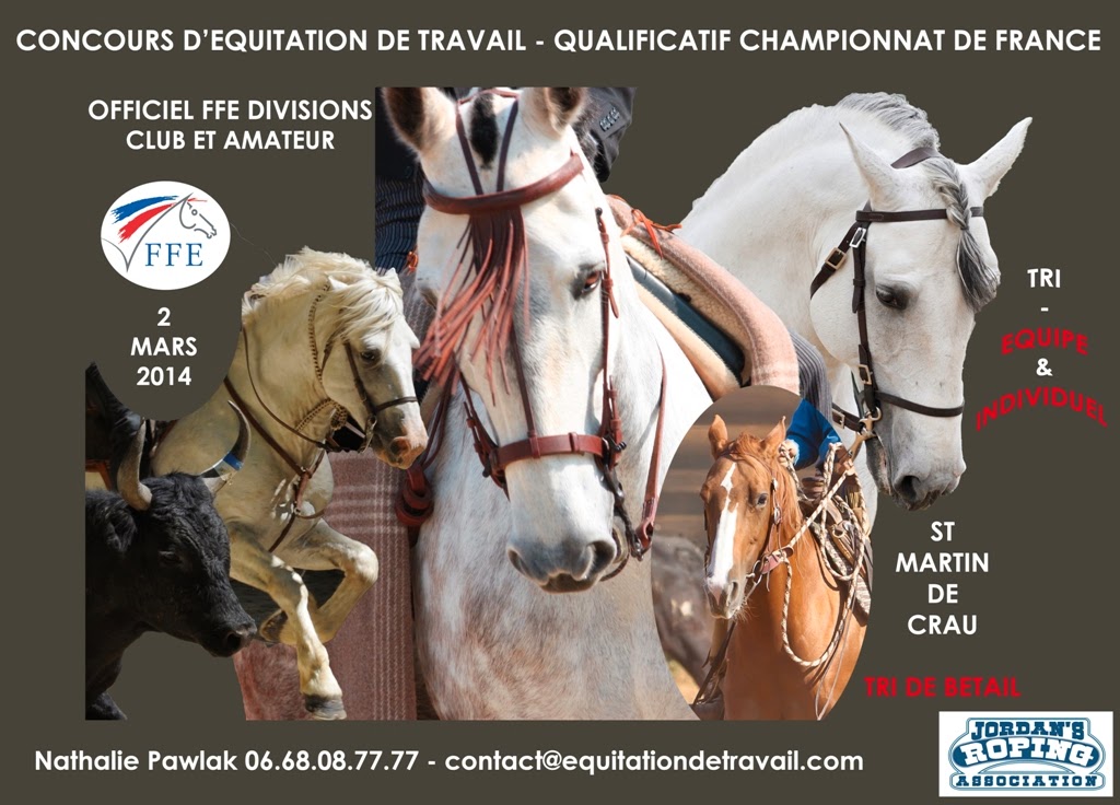 CONCOURS  QUALIFICATIF CHAMPIONNAT DE FRANCE 2014