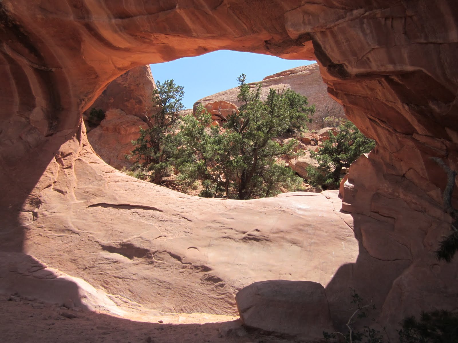 Tracking Small Wonders Where Dinosaurs Roamed