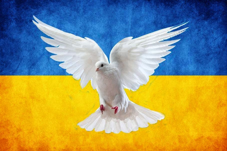 Открытка для солдат ато, картинки про котов