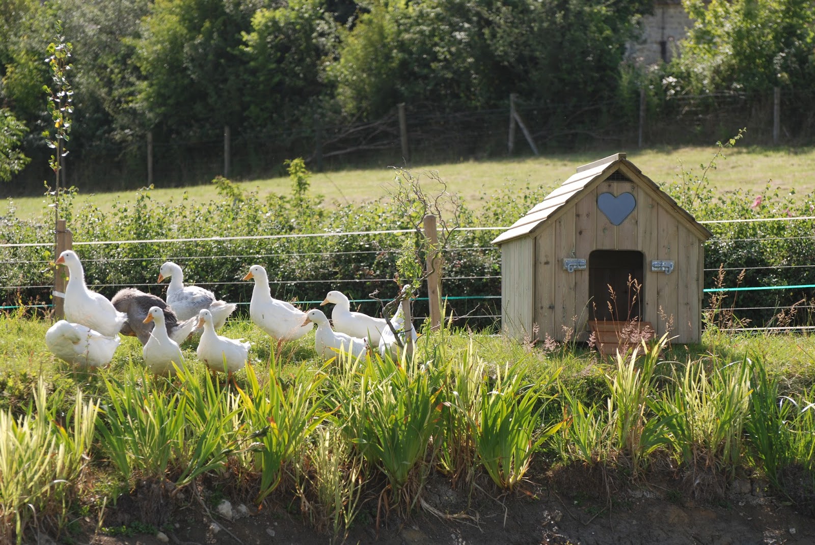 Flyte So Fancy The Classic Duck House A Photo Tour