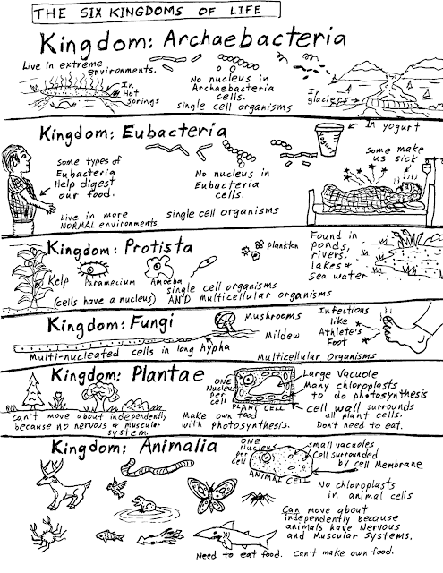 Robin's Great Coloring Pages: Six Kingdoms of Life
