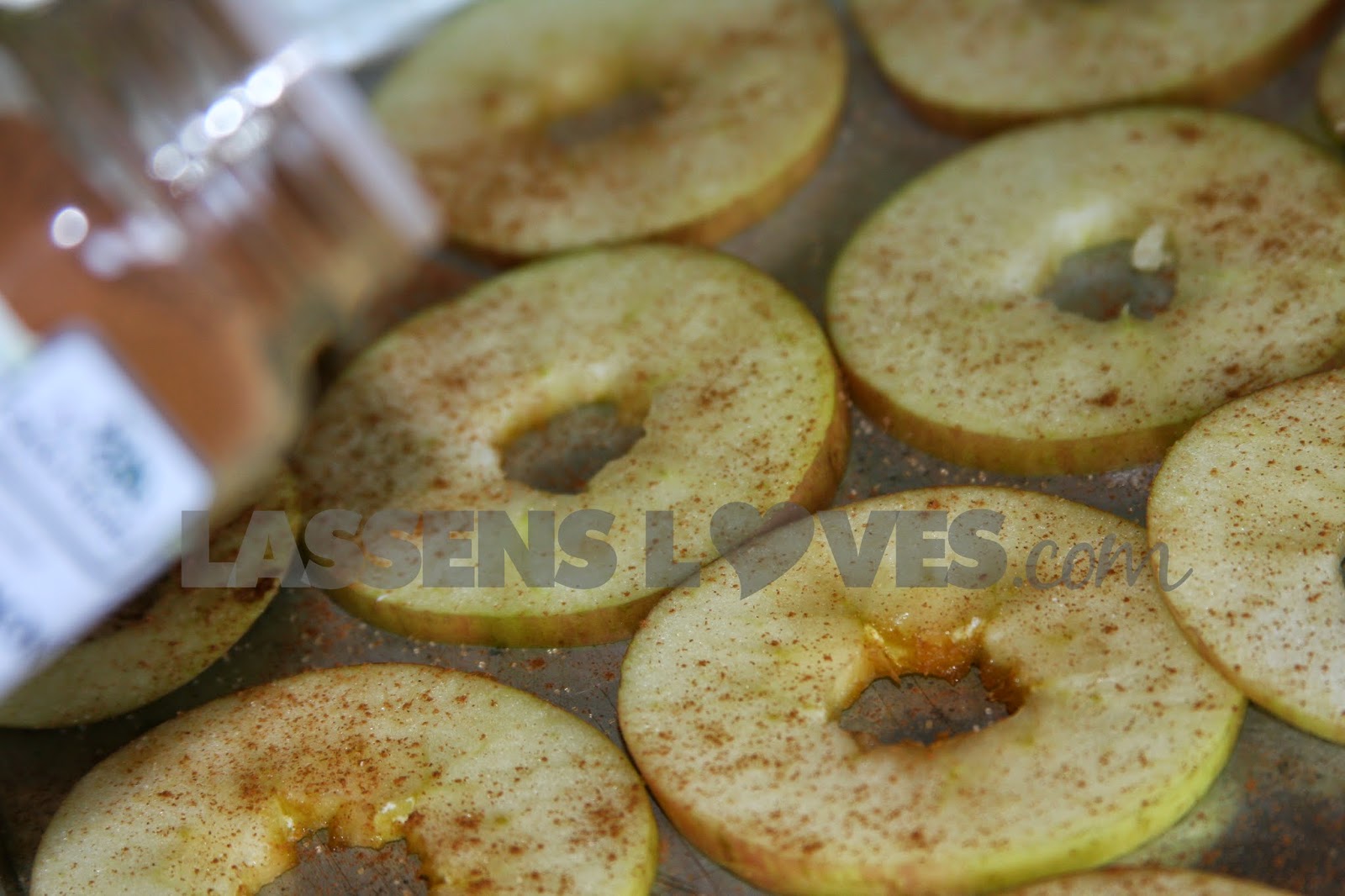 dried+apples, apple+chips, cinnamon+apples