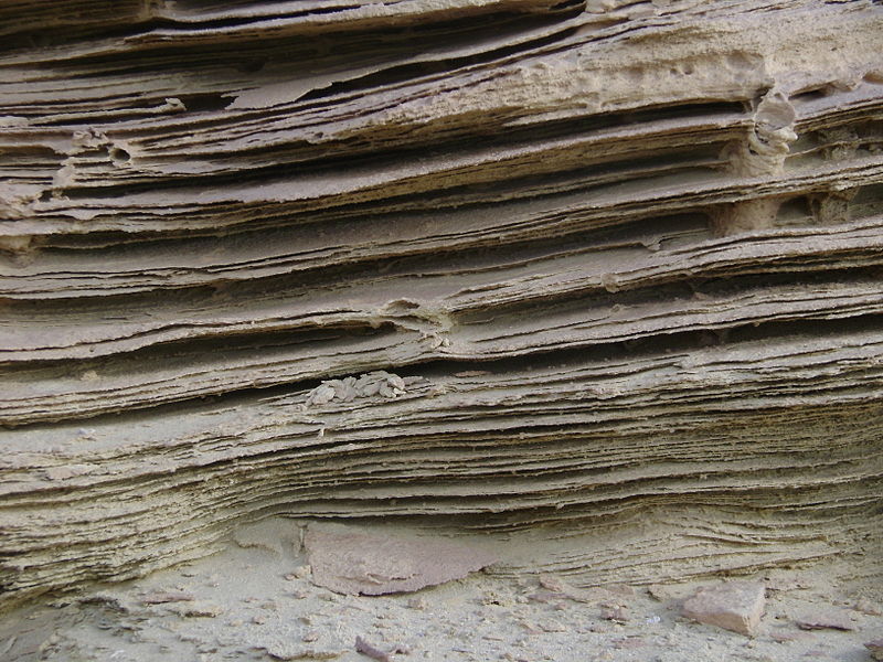 وادي الحيتان - حياة بحرية في قلب الصحراء