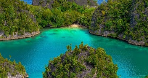 Pengertian dan Contoh Lingkungan di Sekitar Rumah dan