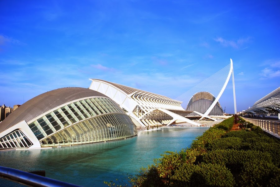 La Ciudad de las Artes y las Ciencias en Valencia