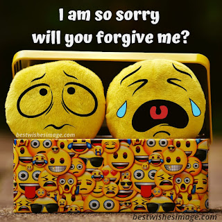 i am sorry images hd download