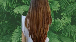 ऑयली डैंड्रफ हटाने के 7 घरेलू नुस्खे-Removing oily dandruff in hindi