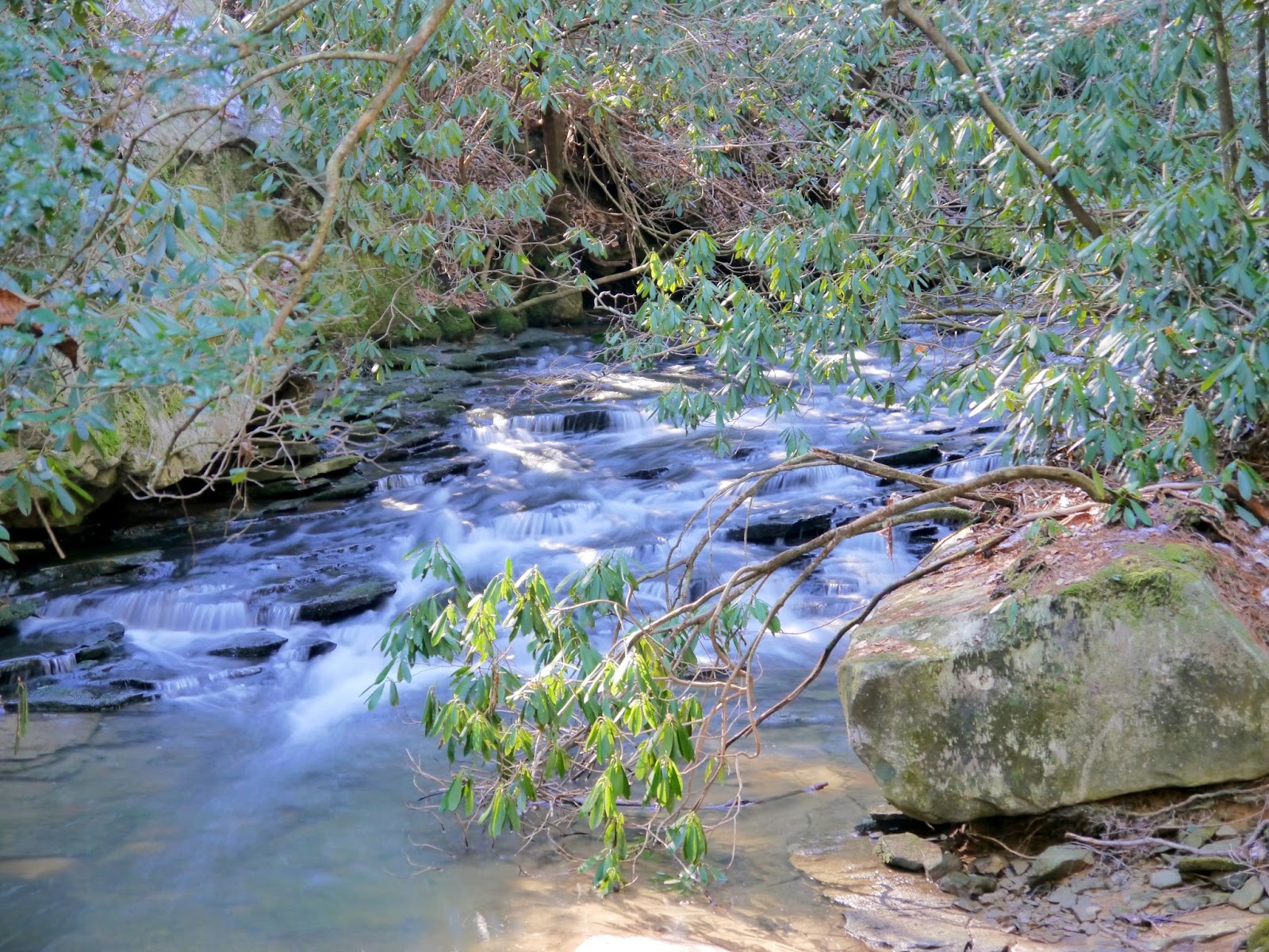 American Travel Journal Bridge and Point Trails Obed National Wild
