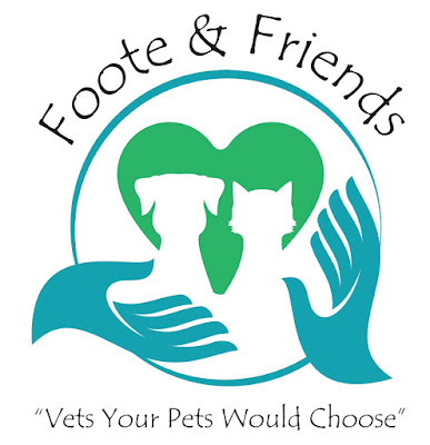 Know Your Pet Can A Food Help Your Dog Calm Down Yes