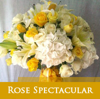 Roses Truly Spectacular
