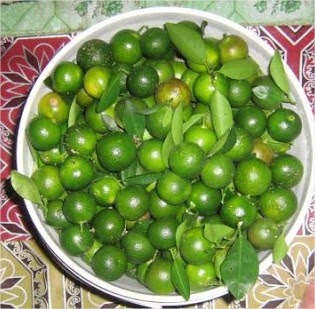 7 Jenis Ubat Dari Limau Kasturi. Wow! Rugi Jika Tidak Tahu  Ohmasammanis