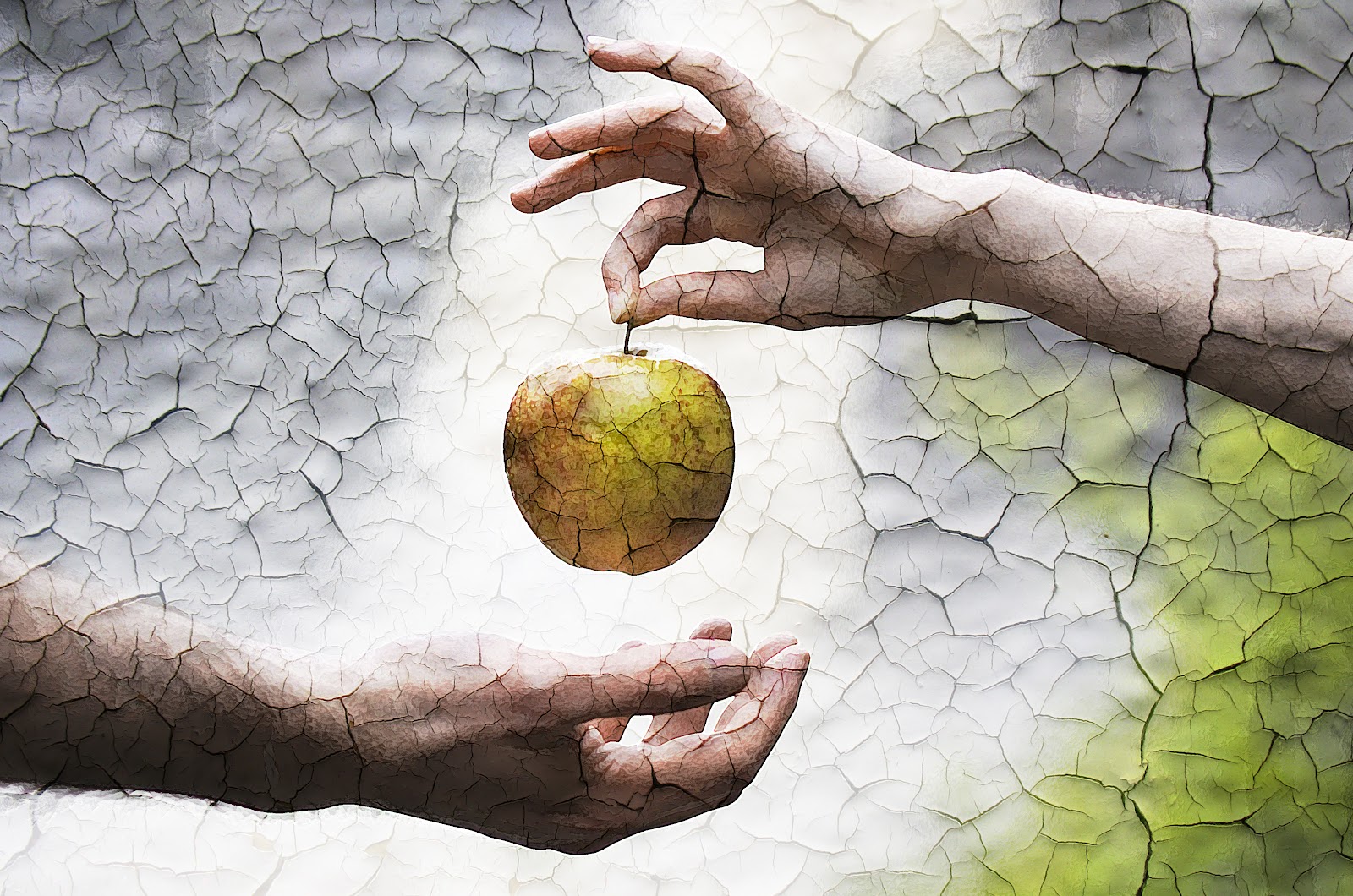 ¿Cuál era el fruto prohibido del árbol del conocimiento del bien y el mal? ¿Cuál era el fruto prohibido del árbol del conocimiento del bien y el mal?