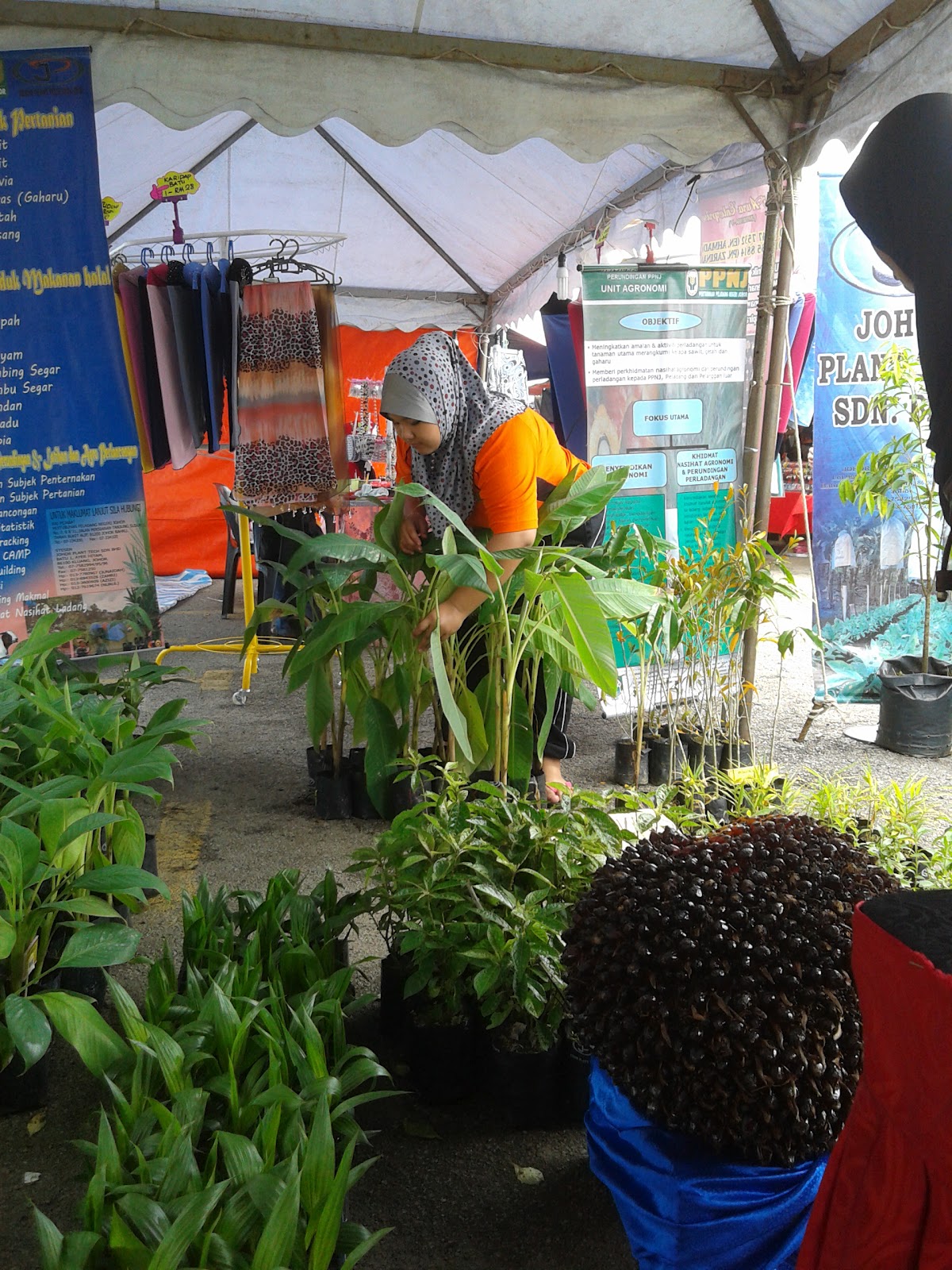 JOHOR PLANT TECH SDN BHD AKTIVITI SYARIKAT