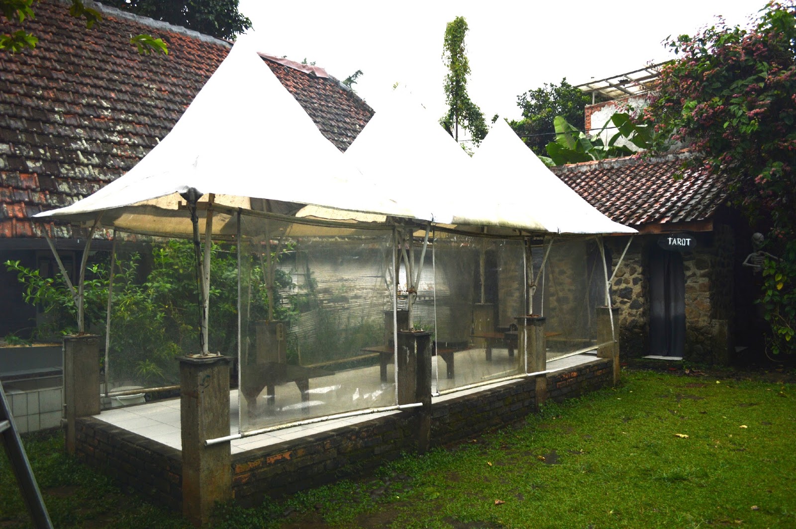 dbc bogor halloween dbc bogor halloween