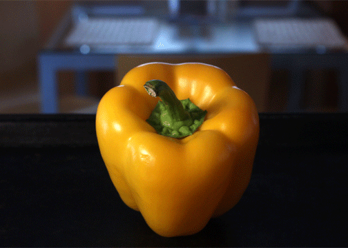 The 99 Cent Chef: Stuffed Bell Peppers - Video Recipe