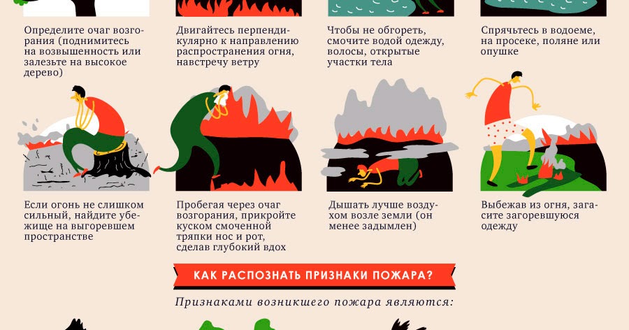 как спастись от земли. методы борьбы с борщевиком. проект на тему спасение земли. средство от кротов и землероек на дачном участке. памятка действия при лесном пожаре.