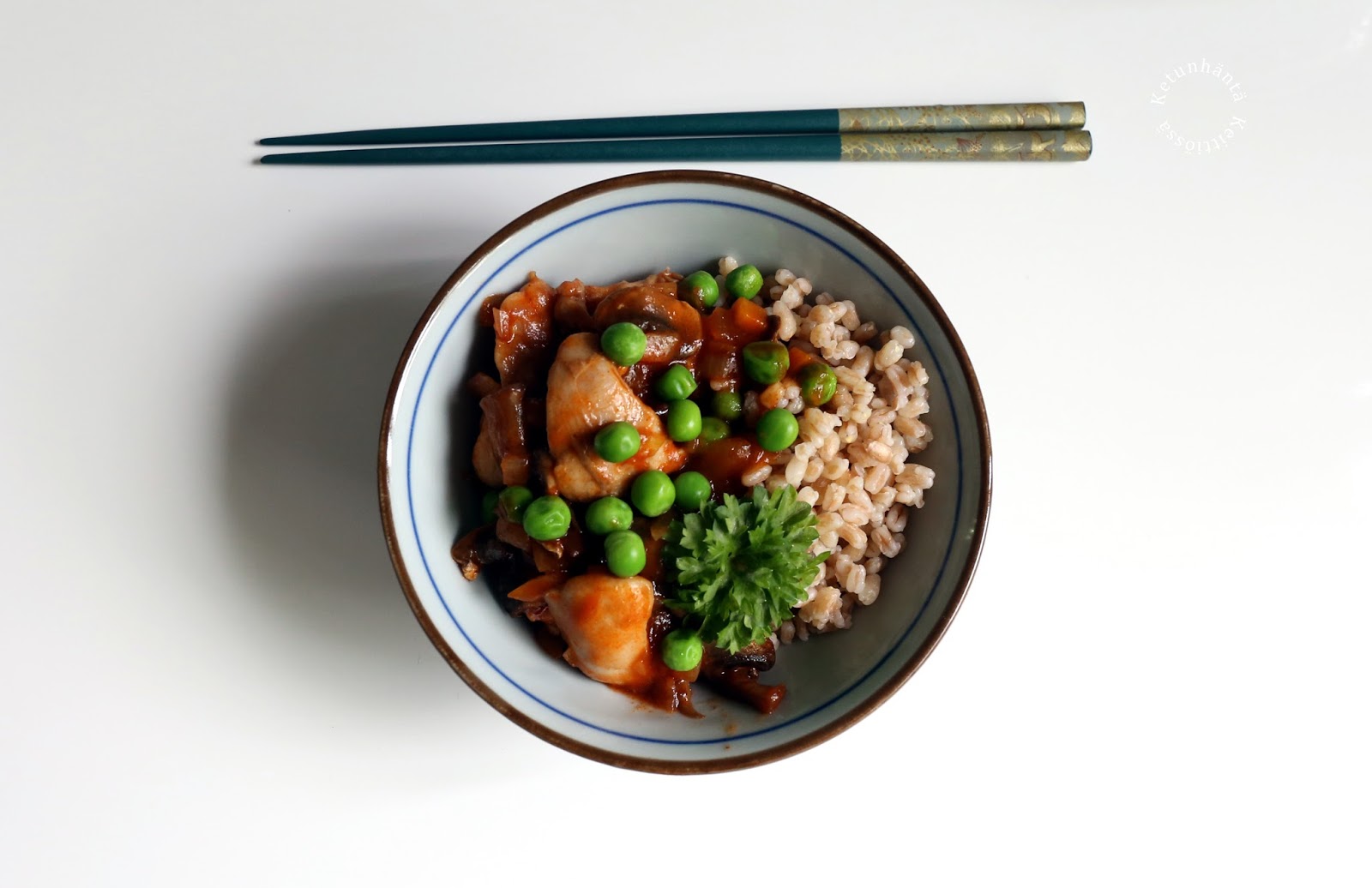 Ketchup Chicken Ketsuppikana