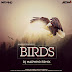 Birds  (Remix) DJ Madwho