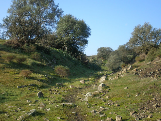 Vereda camino del embalse de San Rafael de Navallana 