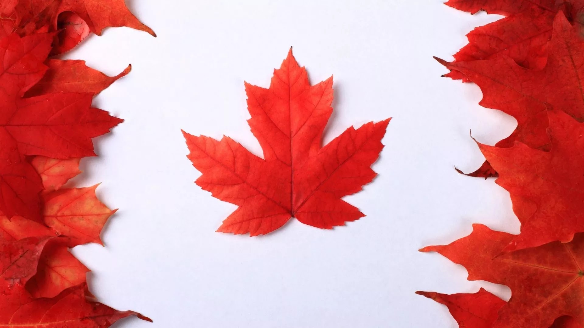 Canada Flag Wallpapers  Top 25 Best Canada Flag Wallpapers Download