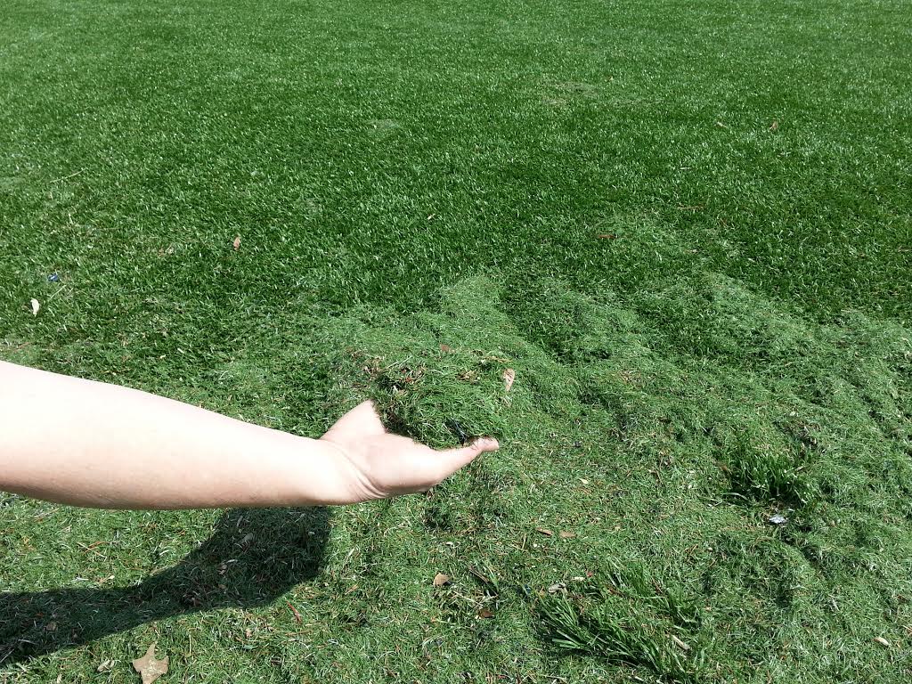 Parents' Coalition of Montgomery County, Maryland Synthetic Turf Can