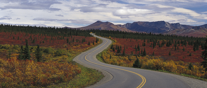 What Does the Road Ahead Look Like?