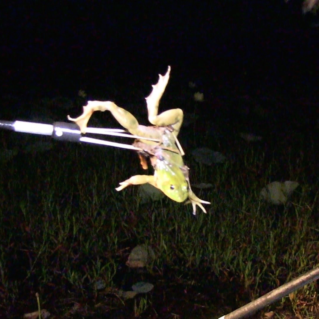 We Live In A Political World 24 / Gig Academics