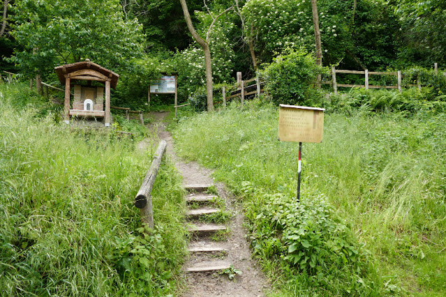 monte ceva fichi d'india