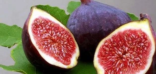 فوائد التين الطازج فوائد التين الطازج
