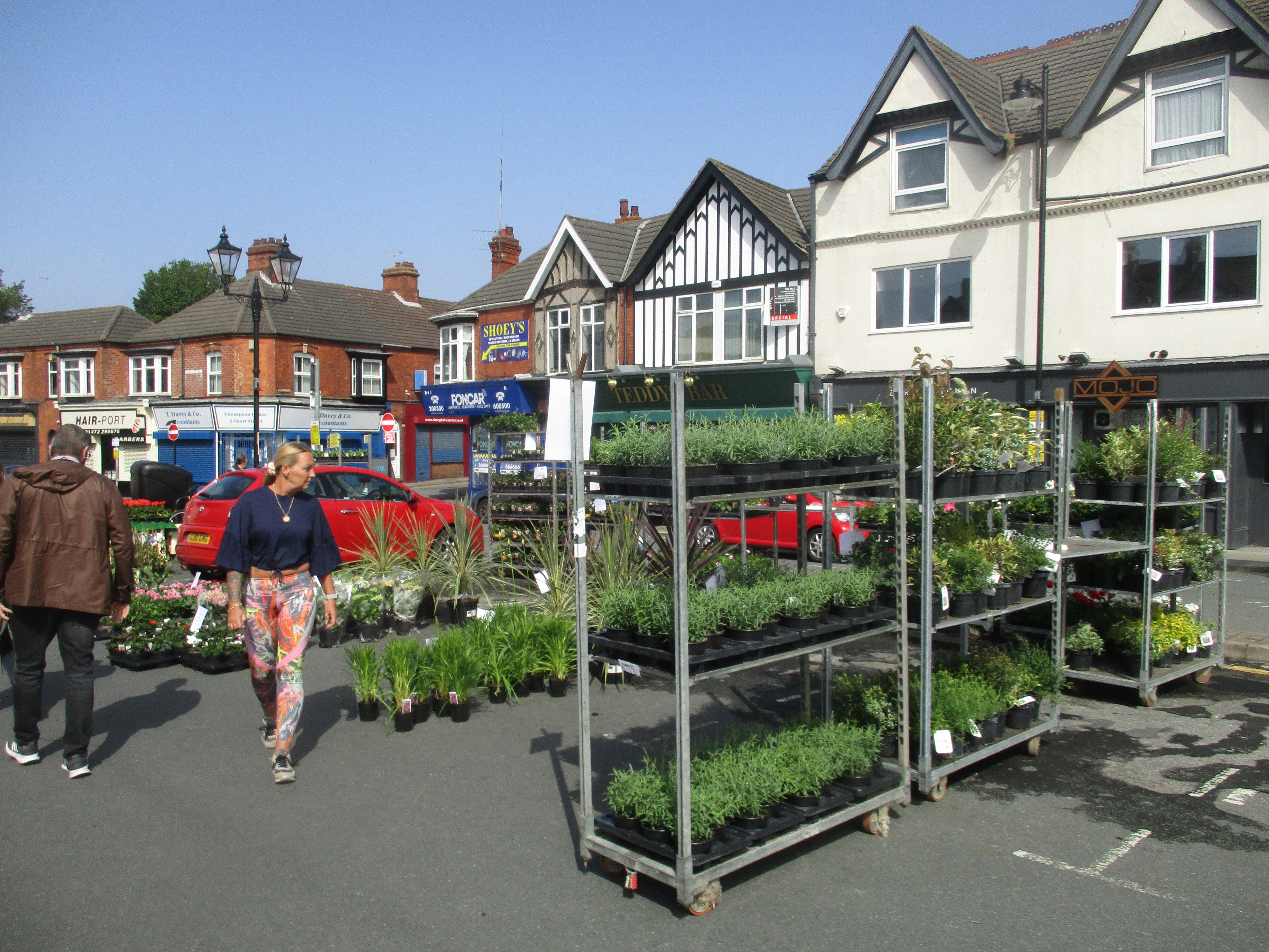 Grimsby News ALL THINGS GREEN AND LEAFY THE SPECIAL CHARM OF