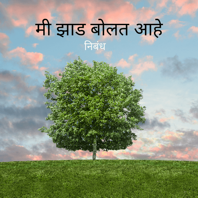 मी झाड बोलत आहे Autobiography of Tree in Marathi Marathi Nibandhs