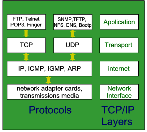 Protocols used in Networking: Protocols used in Networking