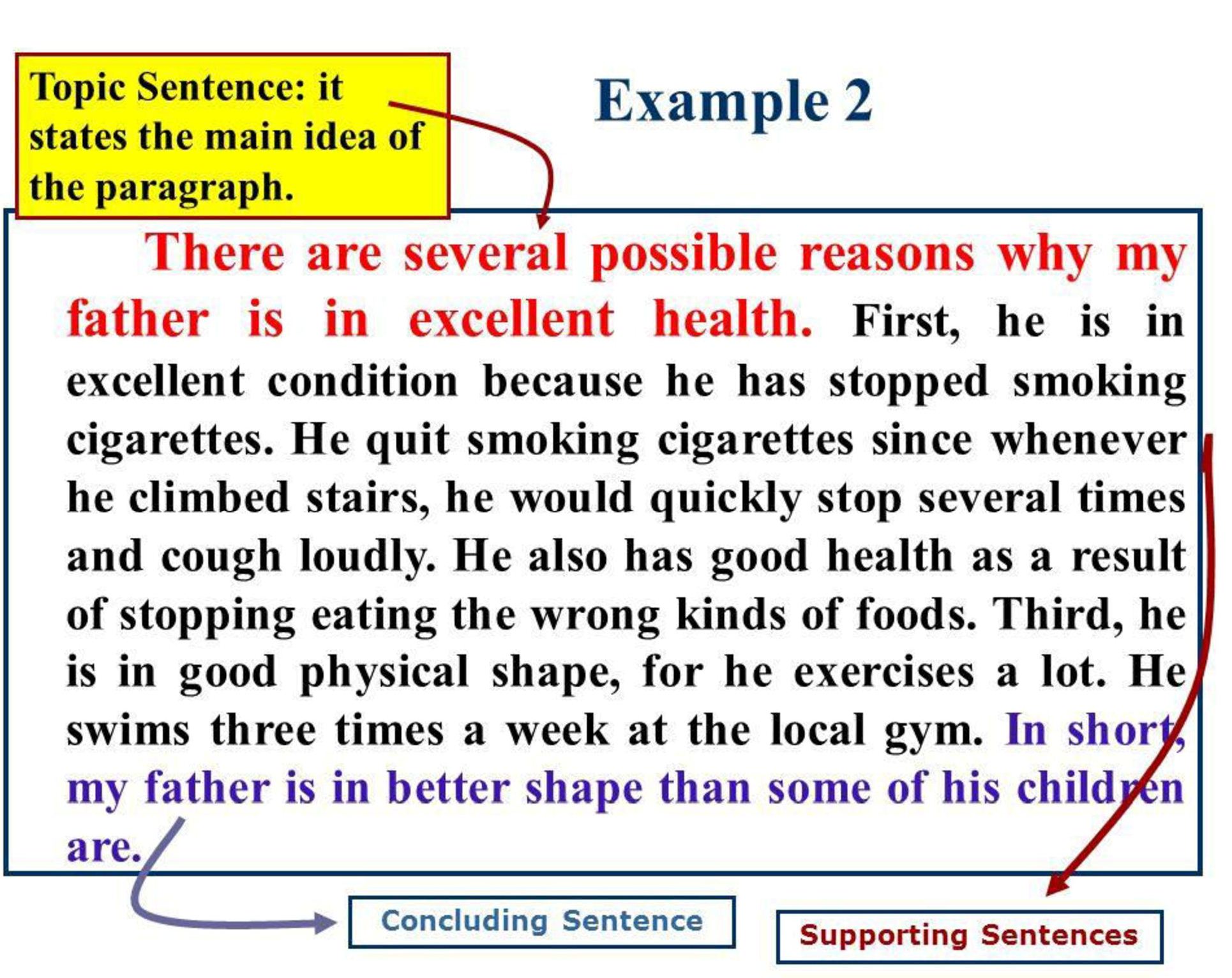 Sorting Sentences Into Paragraphs Worksheets