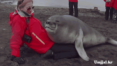 umjjal_kr_367.gif