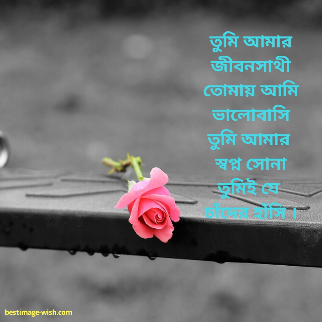 Bengali Quotes Best Love Quotes In Bengali For Whatsapp