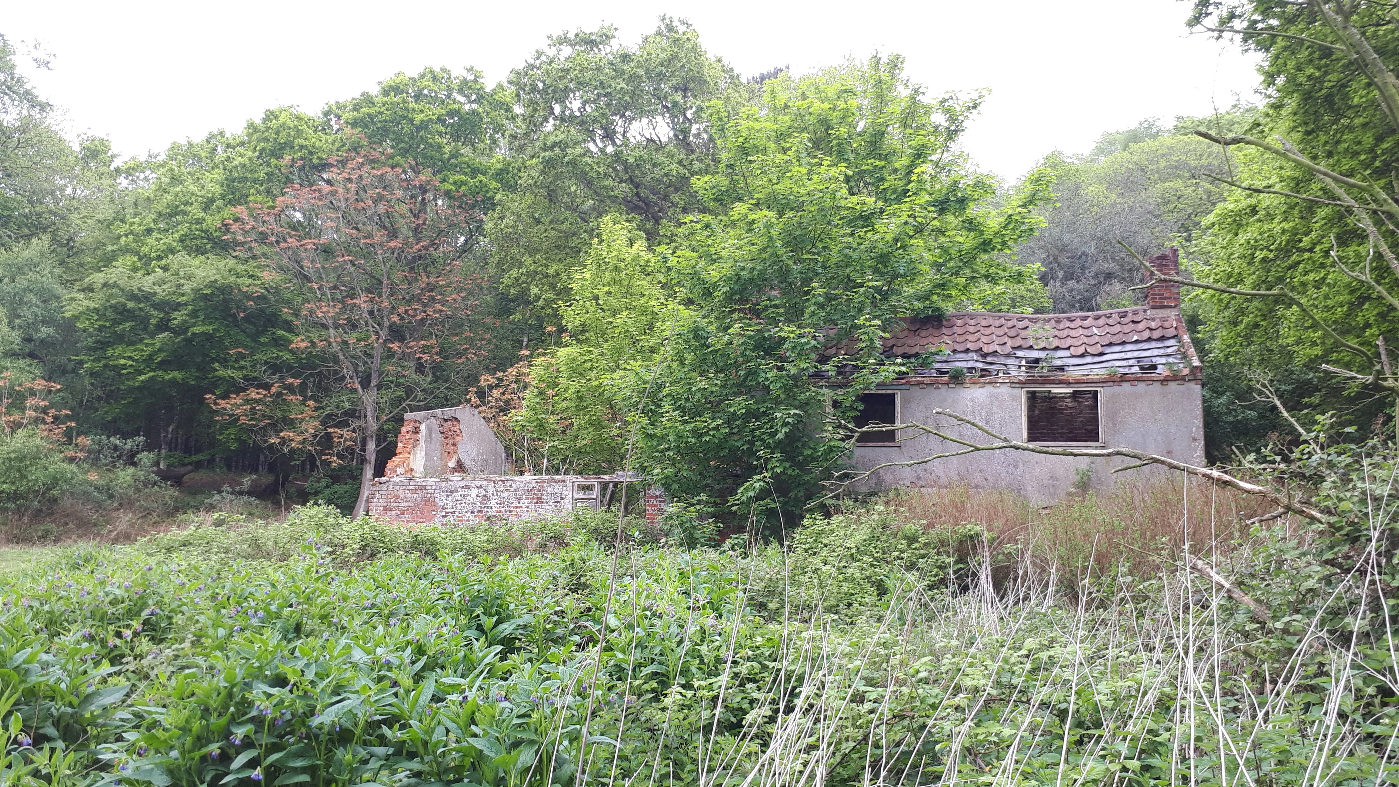 The former Strawberry Hall, a former gamekeeper's cottage at Swanton Abbott