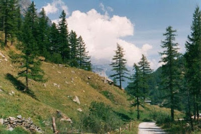 SaasFeeUFO4 700x467 La fotografía de Saas Fee: ¿Un encuentro ovni en los Alpes suizos?