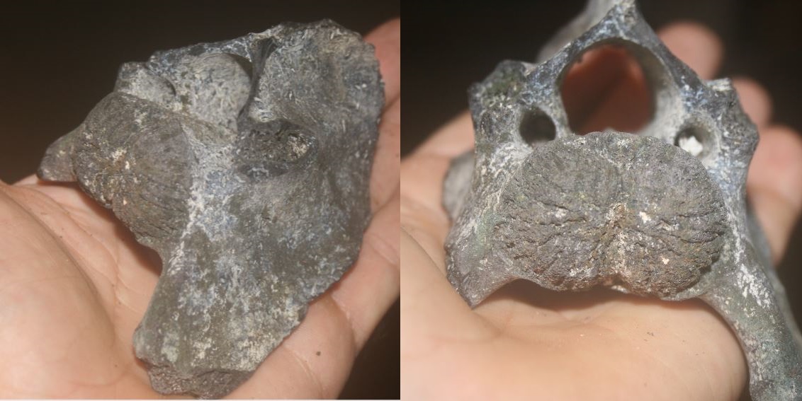 The Treasure Beaches Report Direct From Florida's Treasure Coast. 7/9