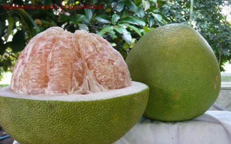 21 Arti Mimpi Tentang Buah Jeruk Bali Menurut Islam Primbon Buku Mimpi 21 Arti Mimpi Tentang Buah Jeruk Bali Menurut Islam Primbon Buku Mimpi