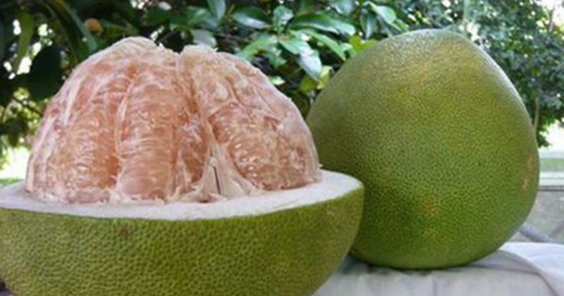 21 Arti Mimpi Tentang Buah Jeruk Bali Menurut Islam Primbon - Buku Mimpi