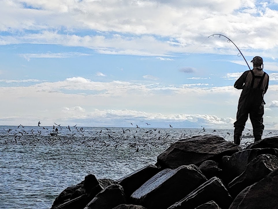 Rhode Island Striped Bass Was This the Greatest Fall Ever for Striper