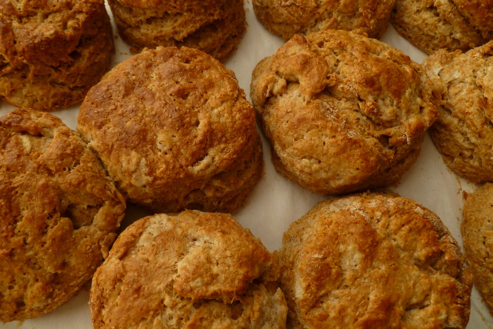 The Pastry Chef's Baking Honey Whole Wheat Biscuits