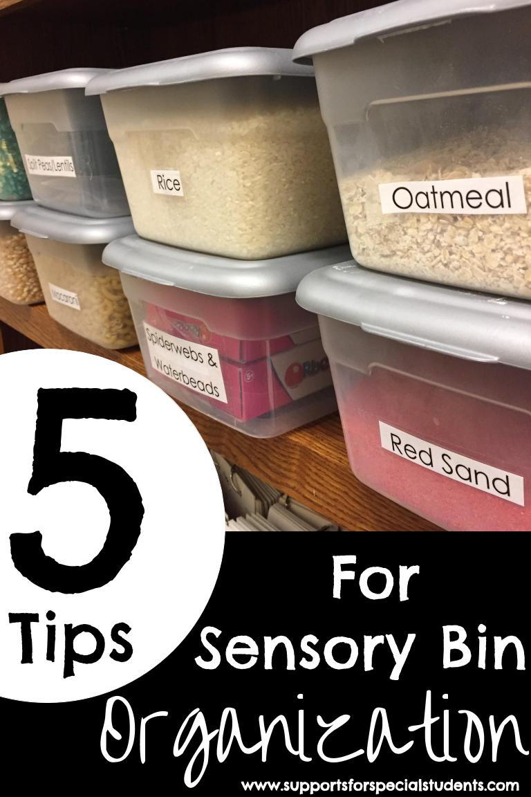 5 Tips for Sensory Bin Organization Supports for Special Students