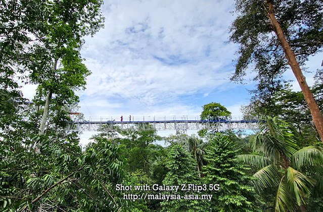 Skywalk de la forêt à Kepong