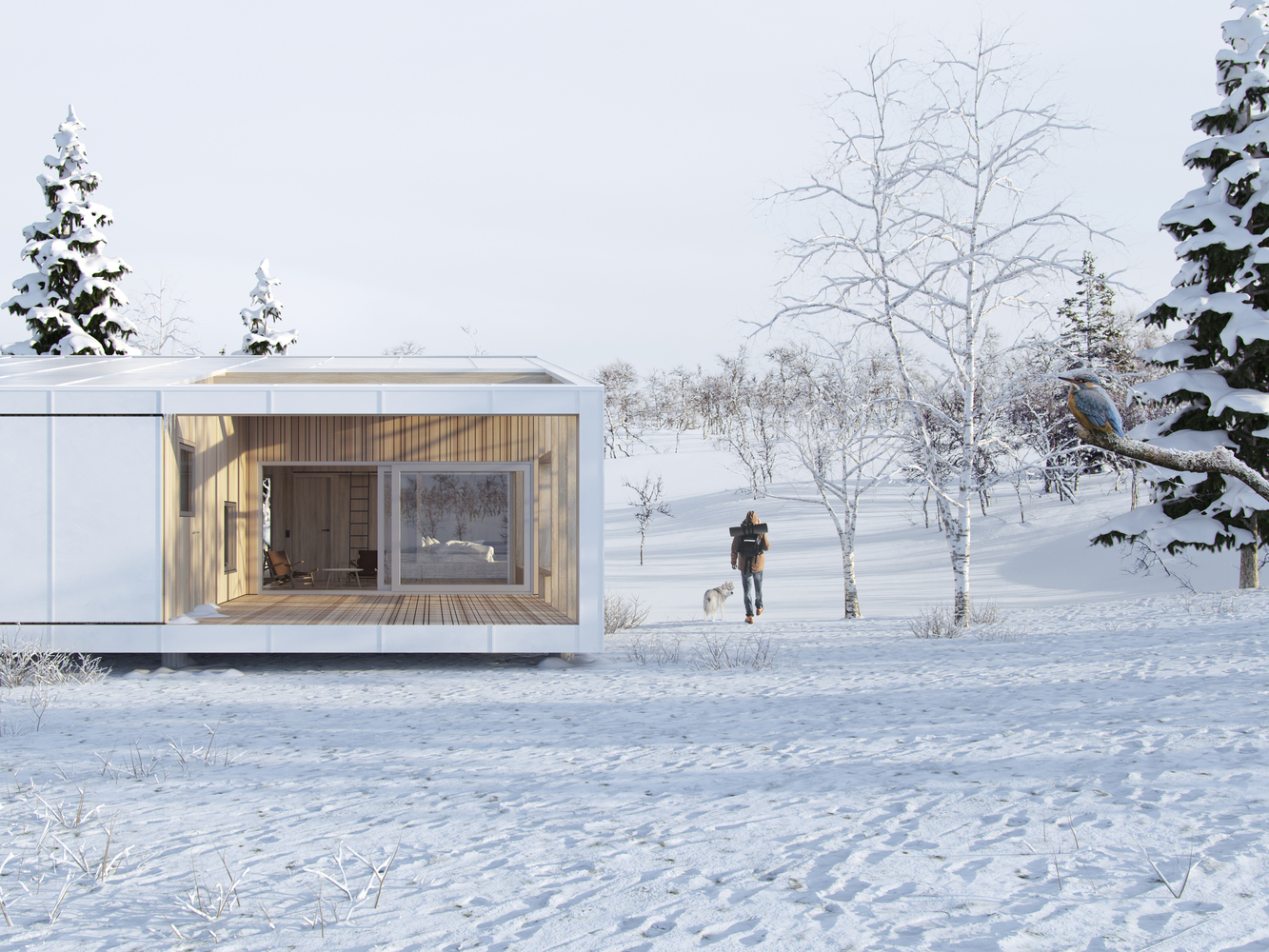 Scandinavian Modular House Concept, Denmark Prefab Modular Homes and Buildings