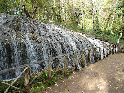 Fresnos Altos en El Monasterio de Piedra