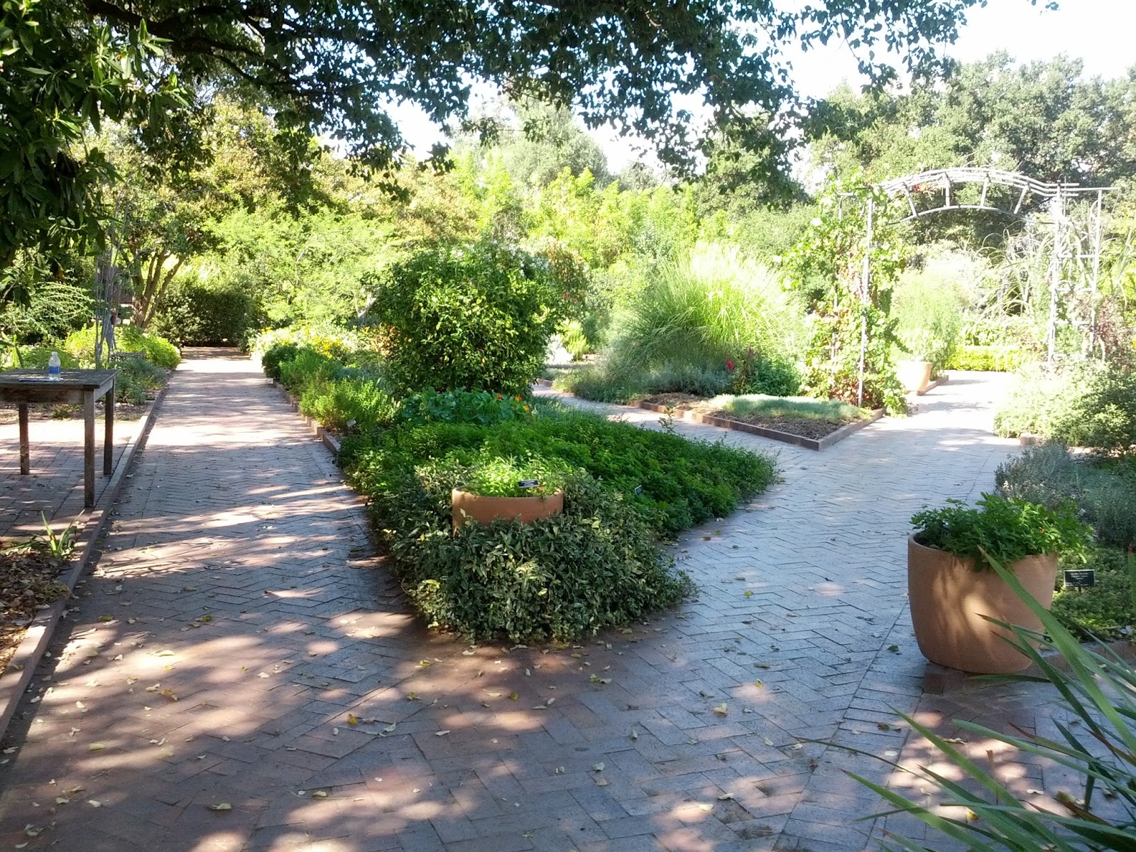 Rikachuuable Huntington Beach Botanical Gardens