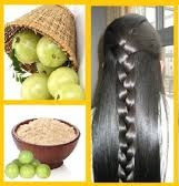 benefits of eating amla in empty stomach amla side effects benefits of amla for skin amla benefits and side effects 1 amla nutritional value benefits of amla powder best time to eat amla